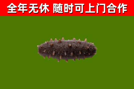略阳县烟酒回收干海参.jpg
